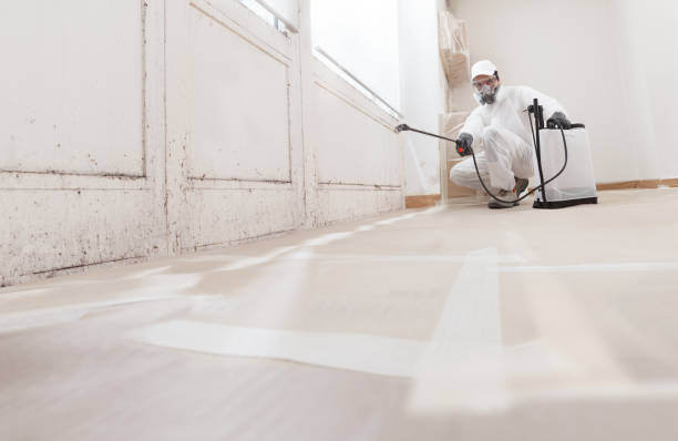 24/7 Emergency Attic Mold Remediation experts in Medfield, MA